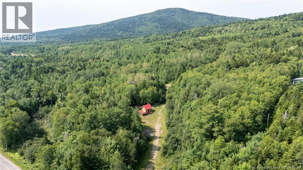 1266 Albert Mines Road, Lower Cape, New Brunswick  E4H 1X1 - Photo 10 - NB136859