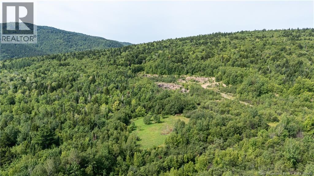 1266 Albert Mines Road, Lower Cape, New Brunswick  E4H 1X1 - Photo 34 - NB136859