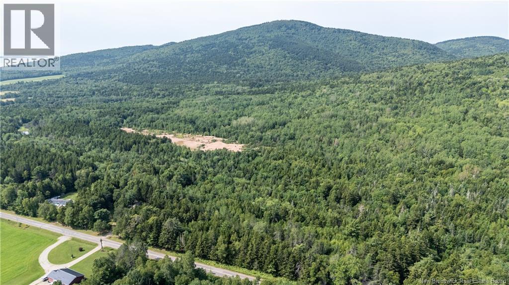 1266 Albert Mines Road, Lower Cape, New Brunswick  E4H 1X1 - Photo 39 - NB136859