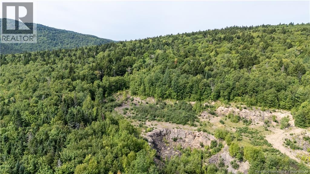 1266 Albert Mines Road, Lower Cape, New Brunswick  E4H 1X1 - Photo 35 - NB136859