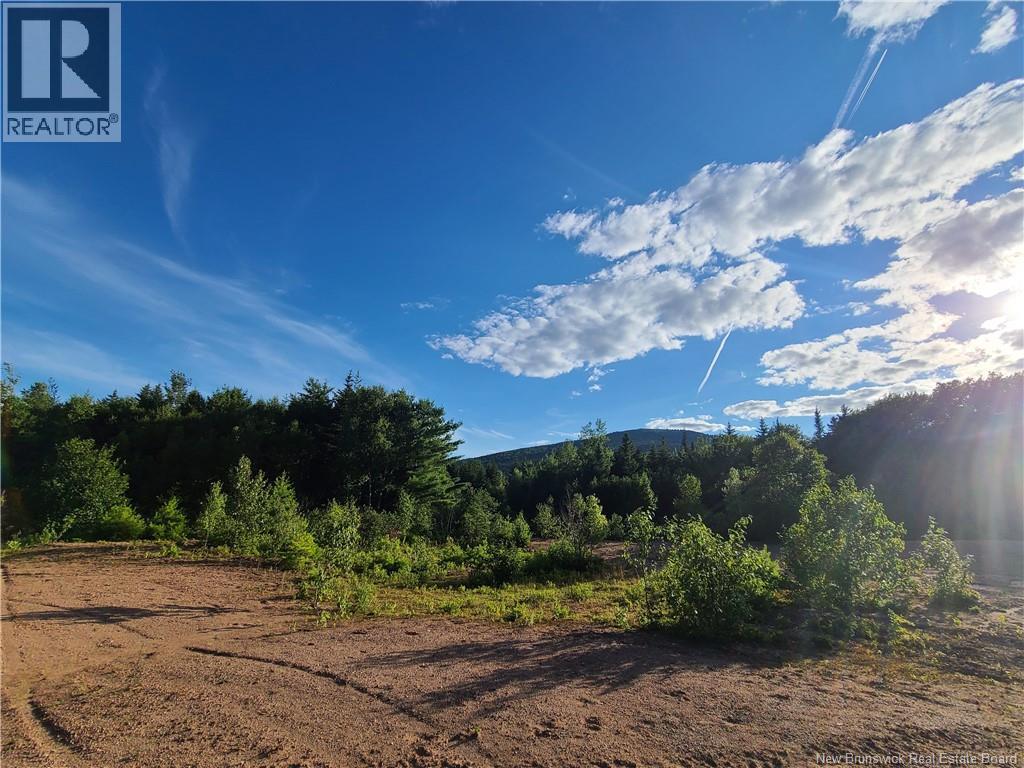 1266 Albert Mines Road, Lower Cape, New Brunswick  E4H 1X1 - Photo 26 - NB136859