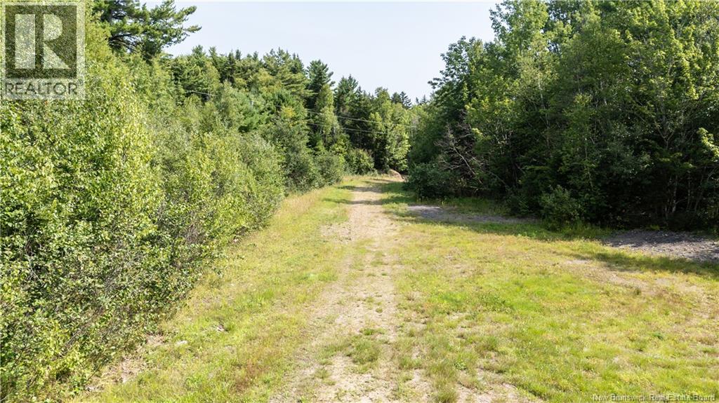 1266 Albert Mines Road, Lower Cape, New Brunswick  E4H 1X1 - Photo 50 - NB136859