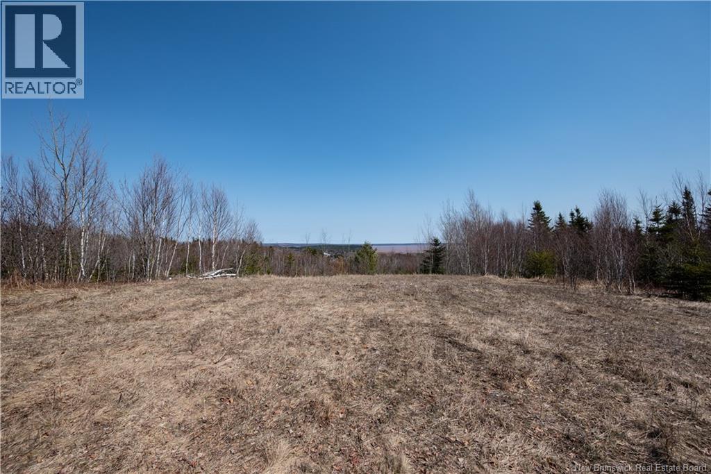 1266 Albert Mines Road, Lower Cape, New Brunswick  E4H 1X1 - Photo 29 - NB136859