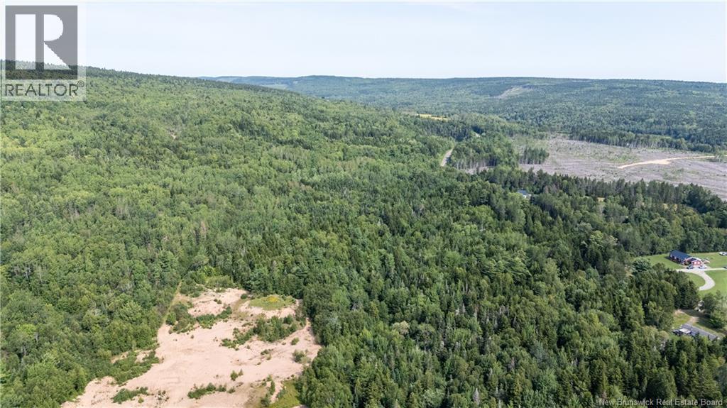 1266 Albert Mines Road, Lower Cape, New Brunswick  E4H 1X1 - Photo 38 - NB136859