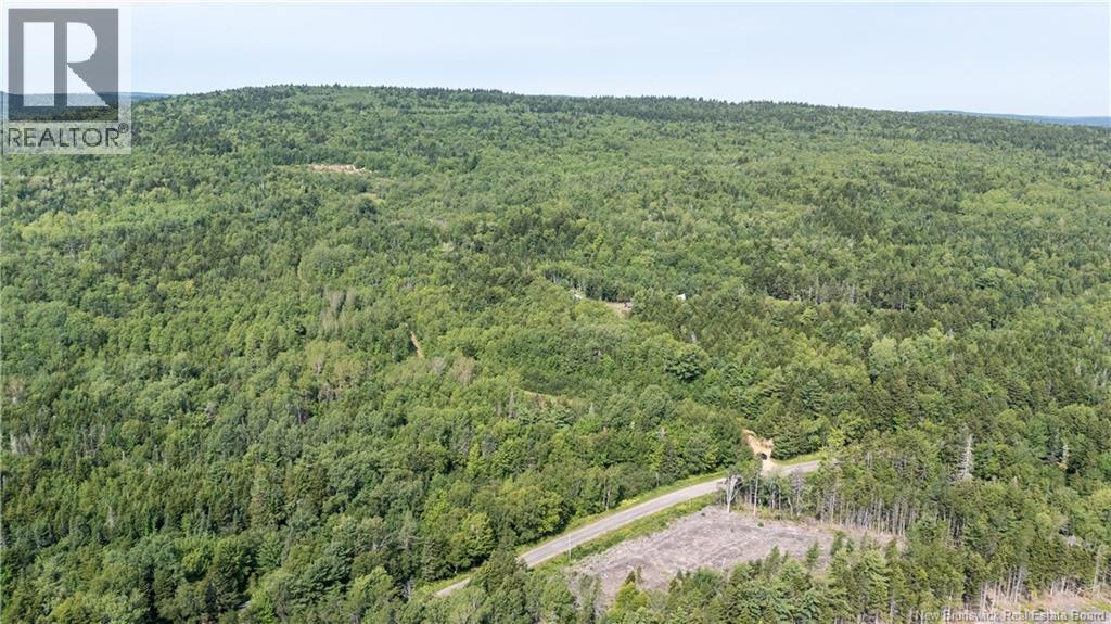 1266 Albert Mines Road, Lower Cape, New Brunswick  E4H 1X1 - Photo 41 - NB136859