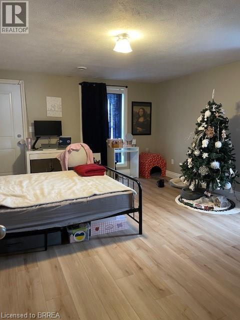 27 Colborne Street S, Simcoe, Ontario  N3Y 4H2 - Photo 17 - 40843908