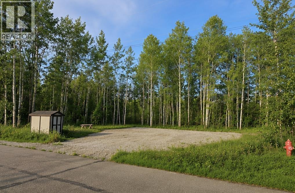 9908 ADAMS STREET, Hudsons Hope, British Columbia
