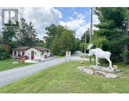 115 VARTY ROAD, tweed (elzevir (twp)), Ontario