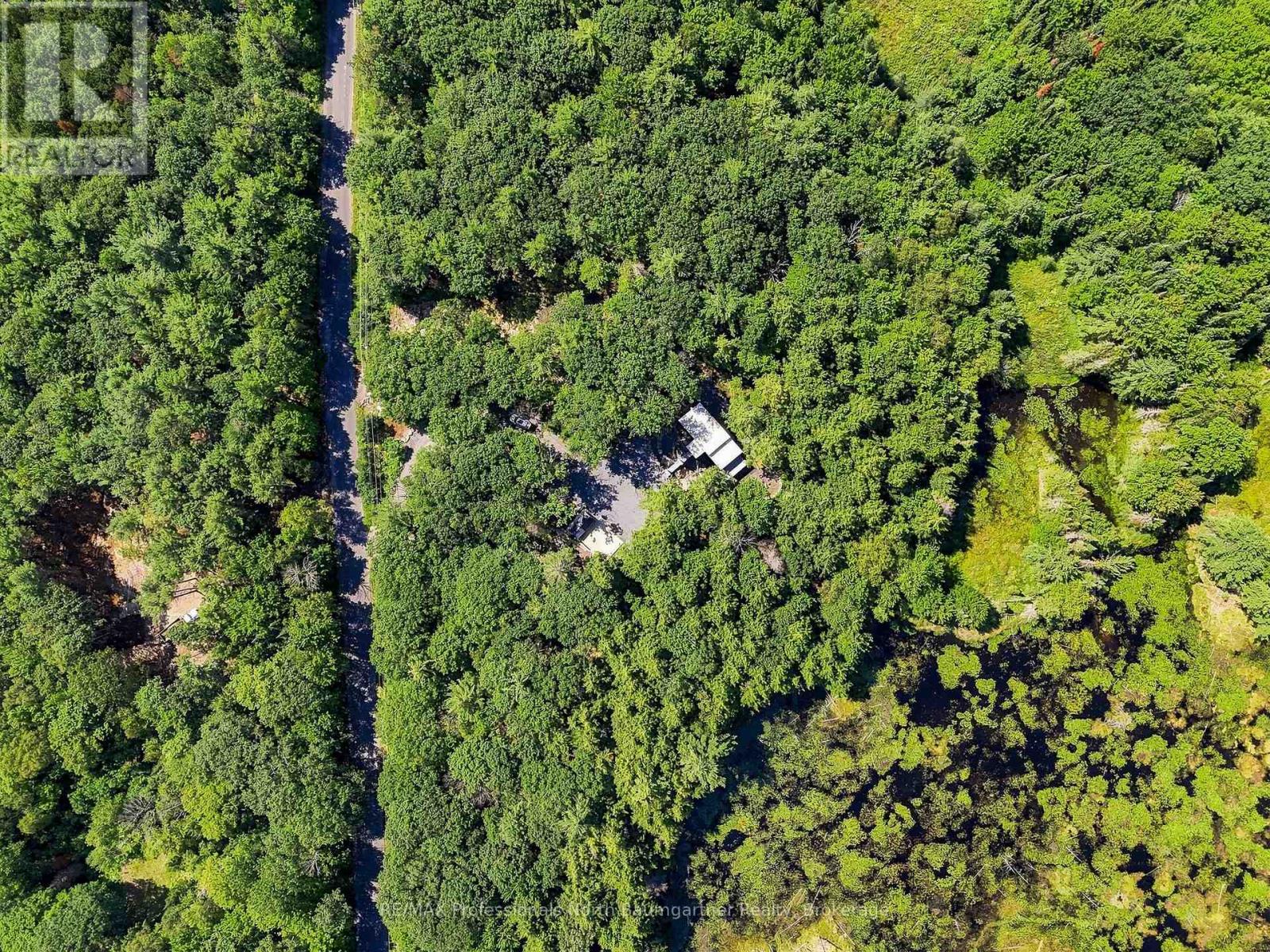 1433 Buckslide Road, Algonquin Highlands, Ontario  K0M 1S0 - Photo 43 - X13676276