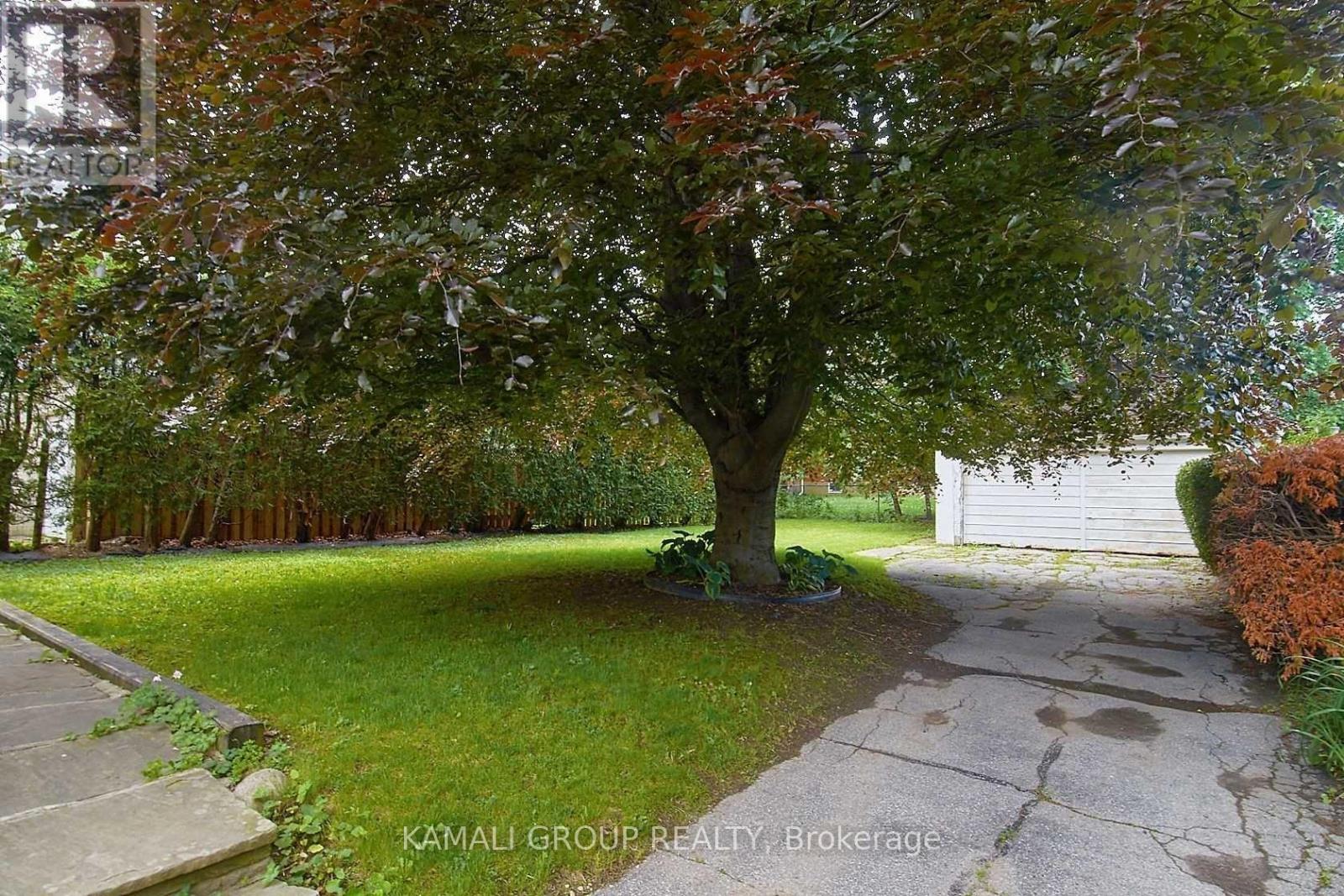 Main - 138 Johnston Avenue, Toronto, Ontario  M2N 1H2 - Photo 16 - C13676240
