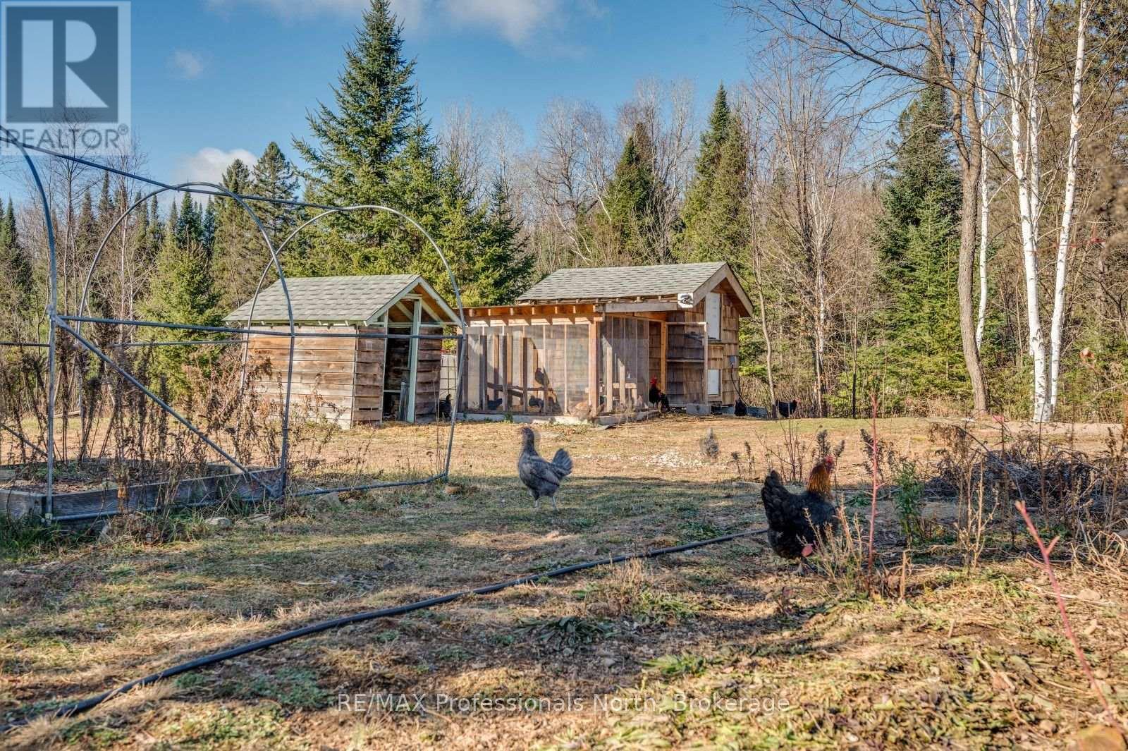 4167 Loop Road, Dysart Et Al, Ontario  K0L 1X0 - Photo 41 - X13676428