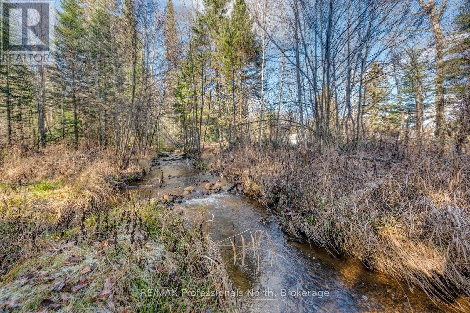 4167 Loop Road, Dysart Et Al, Ontario  K0L 1X0 - Photo 43 - X13676428