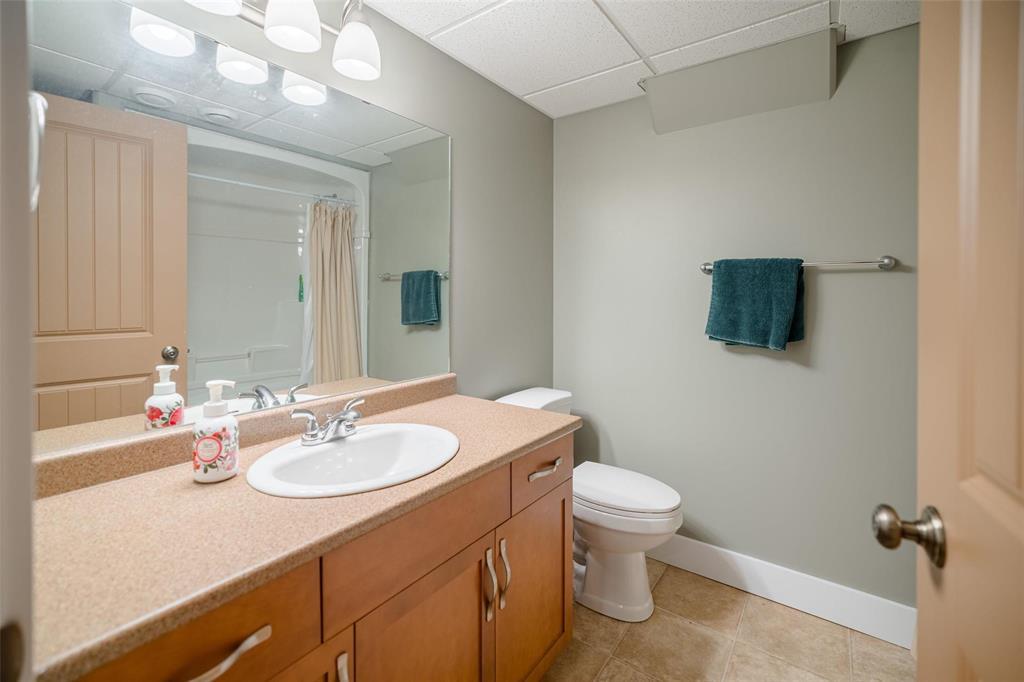 24 Carillon Way, Steinbach, Manitoba R5G 0W9 - Photo 34 - 202620335