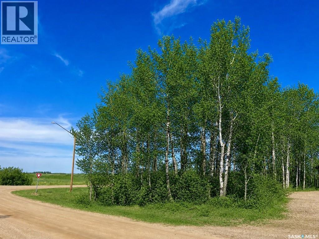 114 James Street, Good Spirit Lake, Saskatchewan  S0A 0L1 - Photo 2 - SK037160