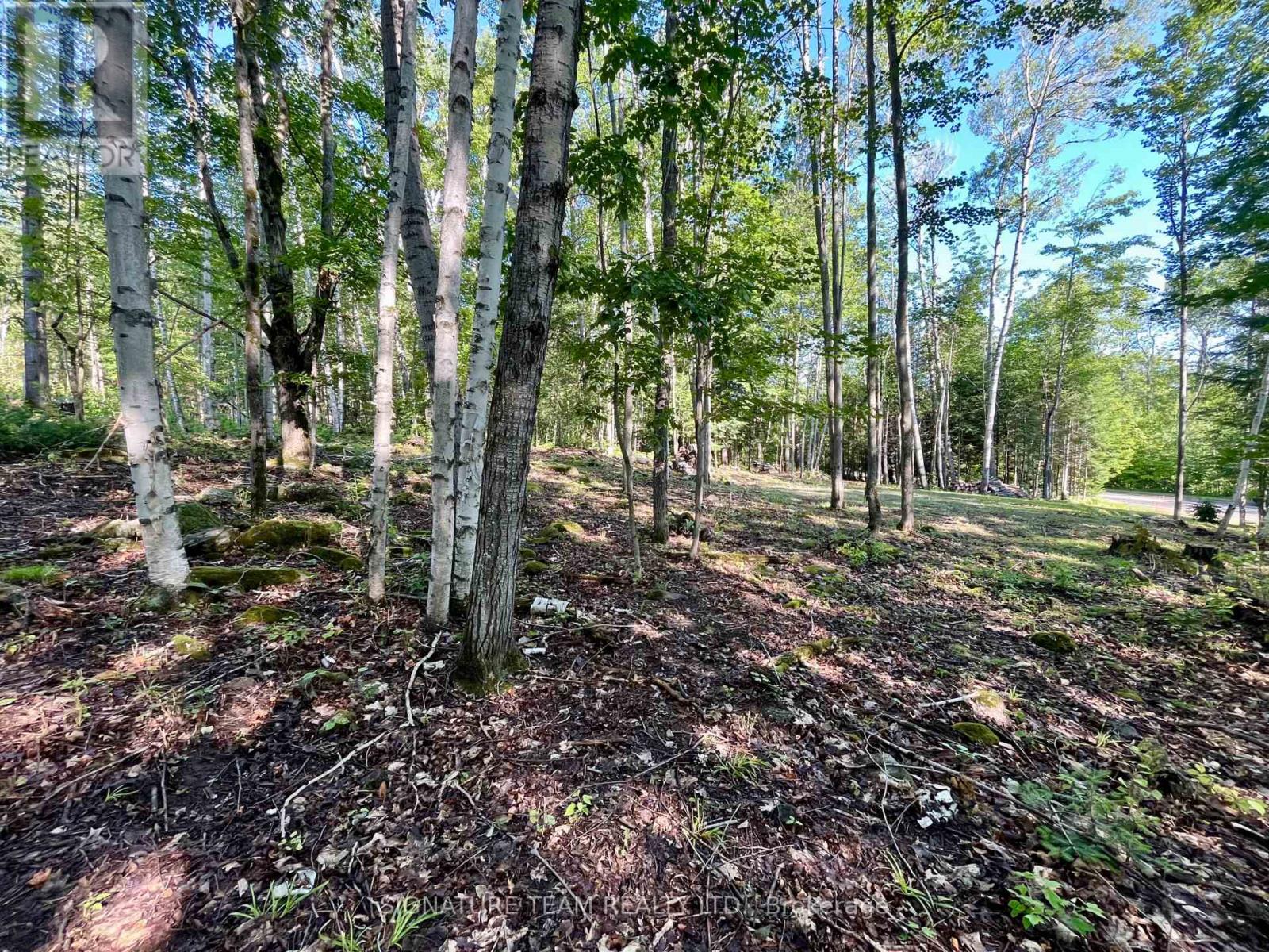 644 Mitchell Road, Madawaska Valley, Ontario  K0J 1B0 - Photo 12 - X13676744