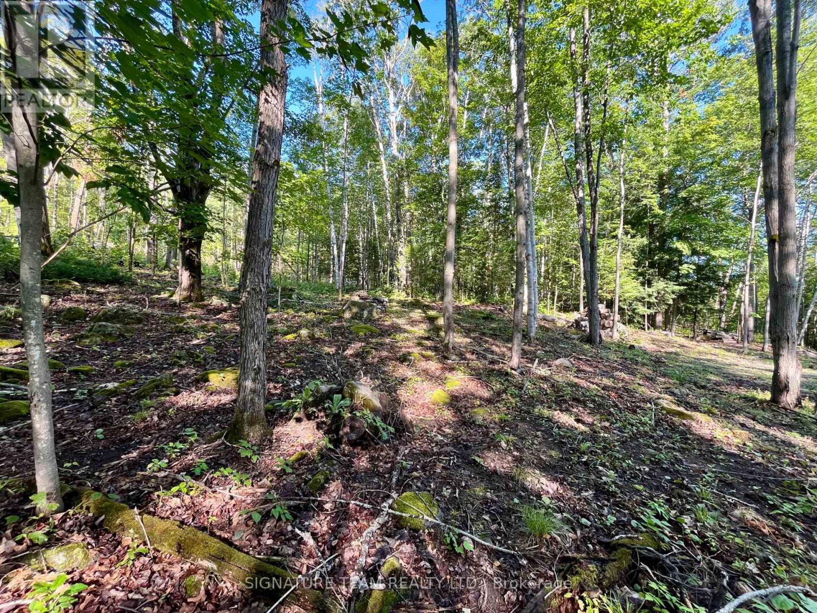 644 Mitchell Road, Madawaska Valley, Ontario  K0J 1B0 - Photo 13 - X13676744