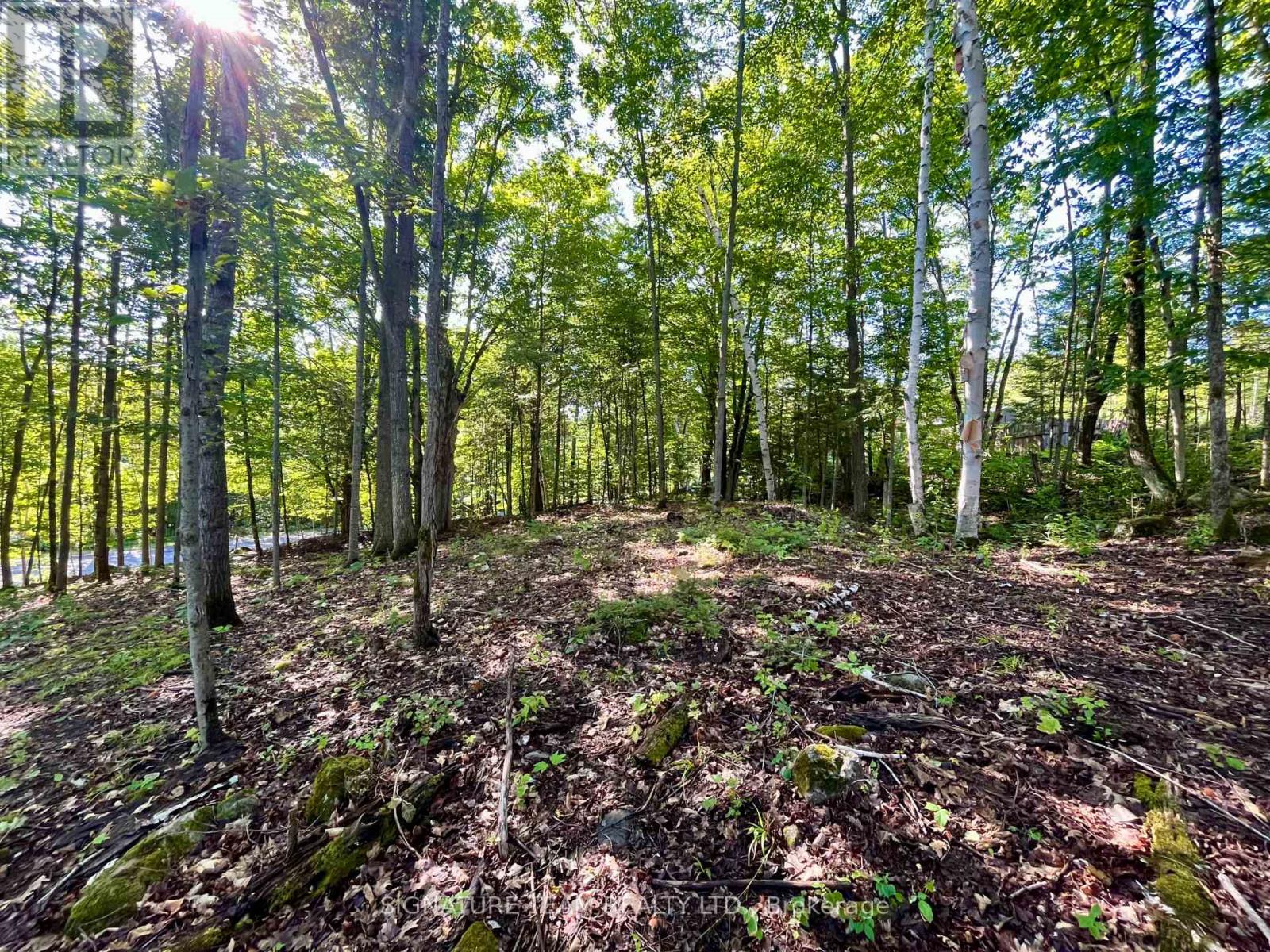 644 Mitchell Road, Madawaska Valley, Ontario  K0J 1B0 - Photo 14 - X13676744