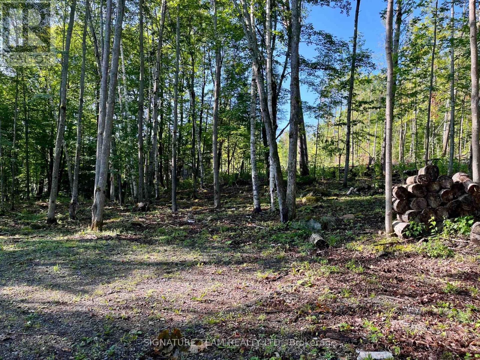 644 Mitchell Road, Madawaska Valley, Ontario  K0J 1B0 - Photo 15 - X13676744