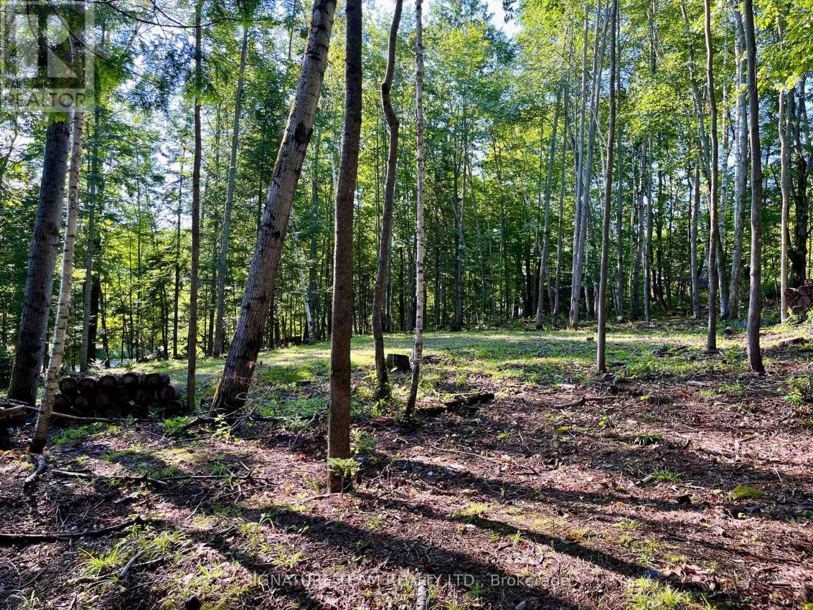 644 Mitchell Road, Madawaska Valley, Ontario  K0J 1B0 - Photo 16 - X13676744