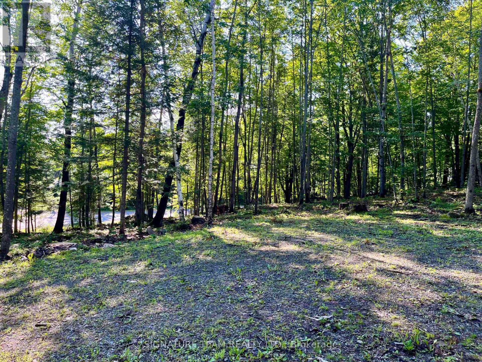 644 Mitchell Road, Madawaska Valley, Ontario  K0J 1B0 - Photo 17 - X13676744