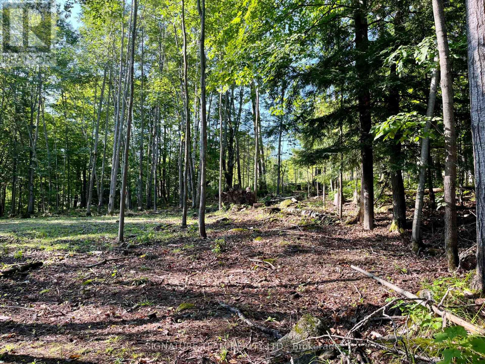644 Mitchell Road, Madawaska Valley, Ontario  K0J 1B0 - Photo 18 - X13676744