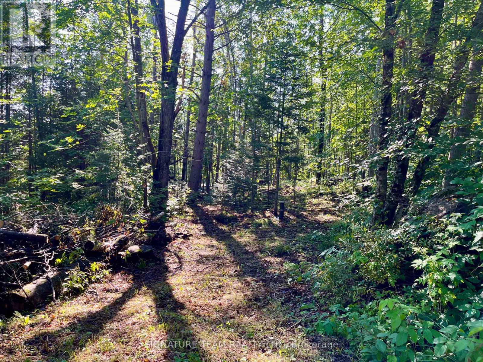 644 Mitchell Road, Madawaska Valley, Ontario  K0J 1B0 - Photo 19 - X13676744