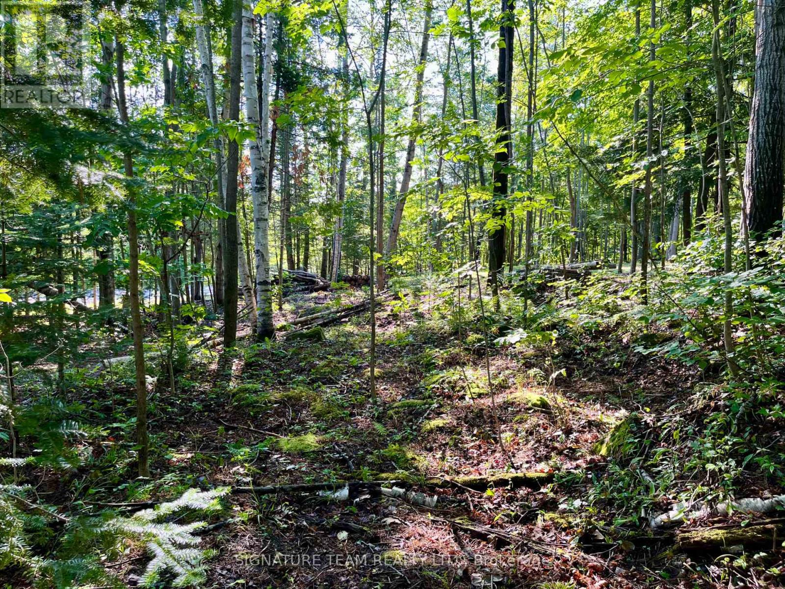 644 Mitchell Road, Madawaska Valley, Ontario  K0J 1B0 - Photo 20 - X13676744