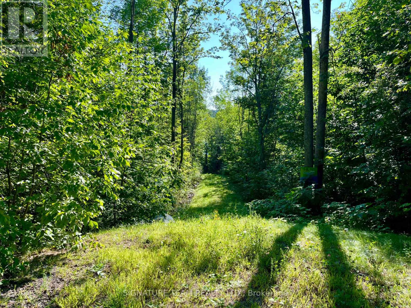 644 Mitchell Road, Madawaska Valley, Ontario  K0J 1B0 - Photo 23 - X13676744
