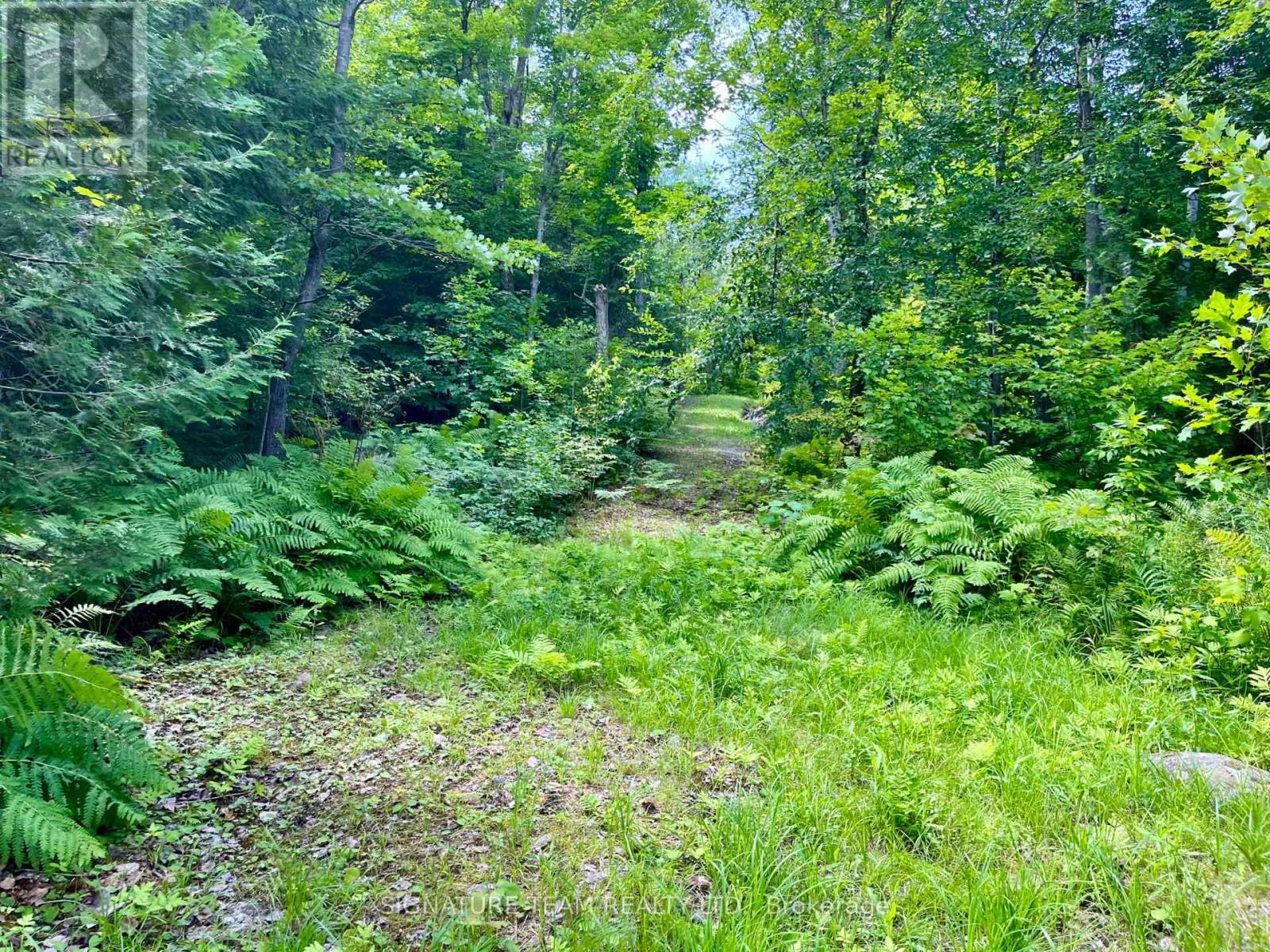 644 Mitchell Road, Madawaska Valley, Ontario  K0J 1B0 - Photo 24 - X13676744