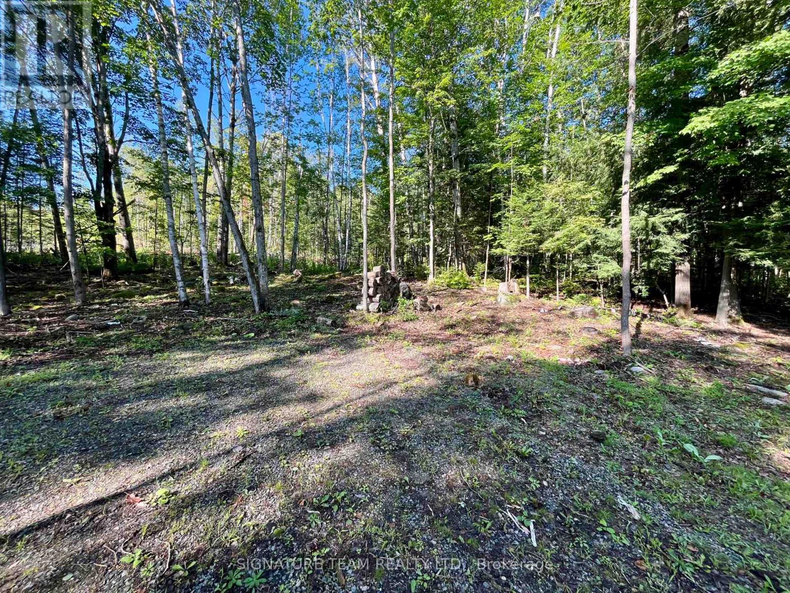 644 Mitchell Road, Madawaska Valley, Ontario K0J 1B0 - Photo 7 - X13676744
