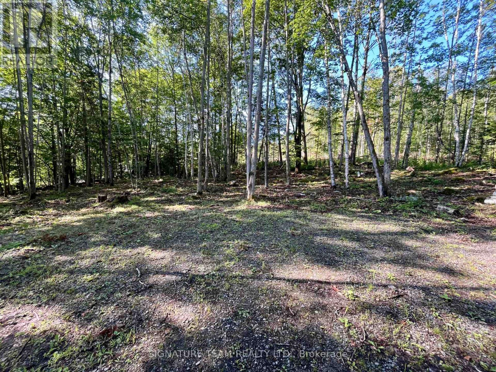 644 Mitchell Road, Madawaska Valley, Ontario  K0J 1B0 - Photo 8 - X13676744