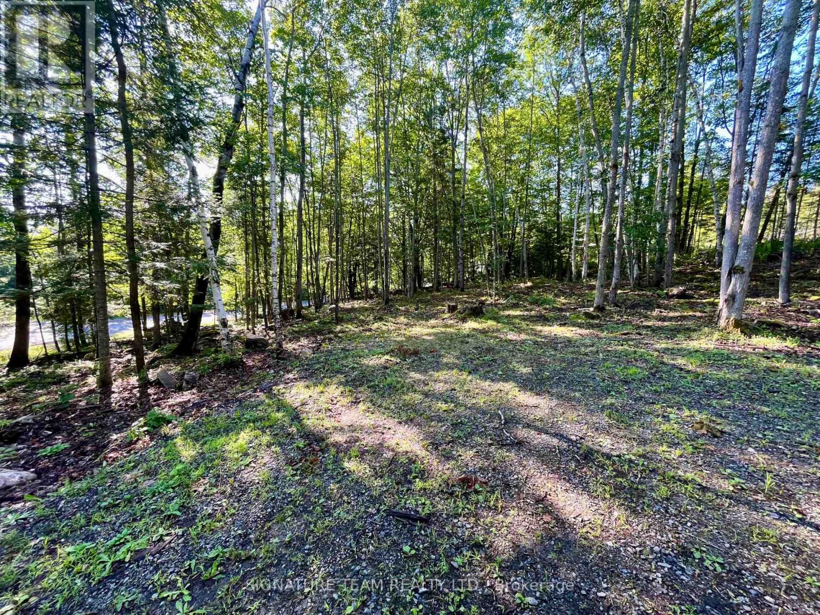644 Mitchell Road, Madawaska Valley, Ontario  K0J 1B0 - Photo 9 - X13676744