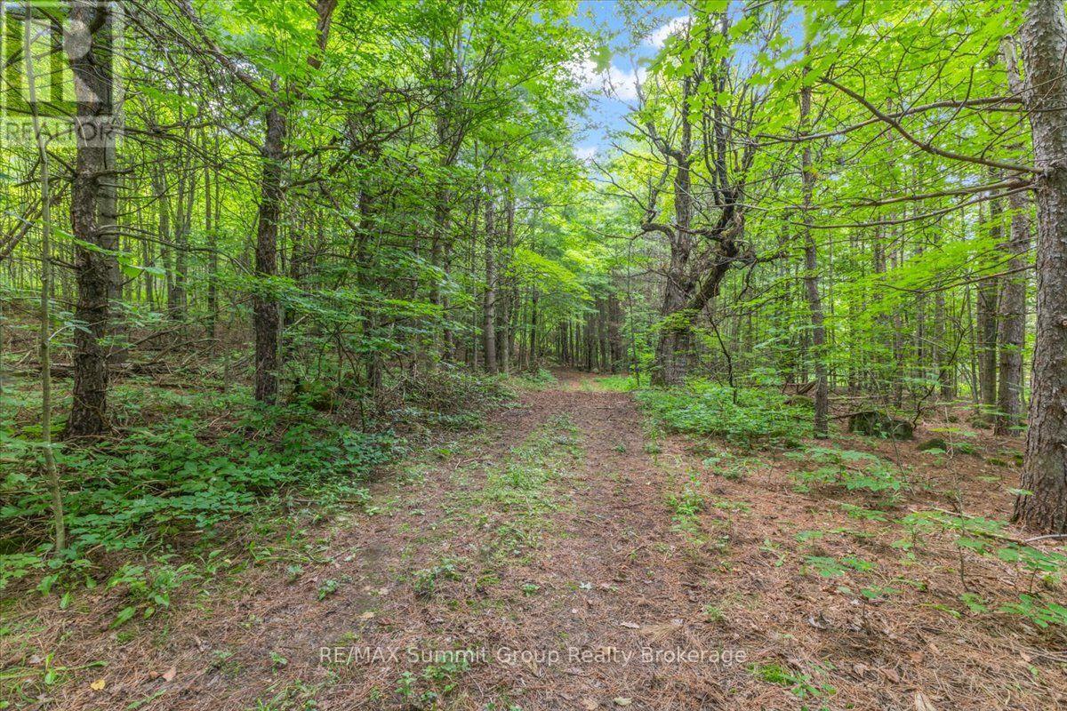 467027 12th Concession B, Grey Highlands, Ontario  N0C 1E0 - Photo 14 - X13676516
