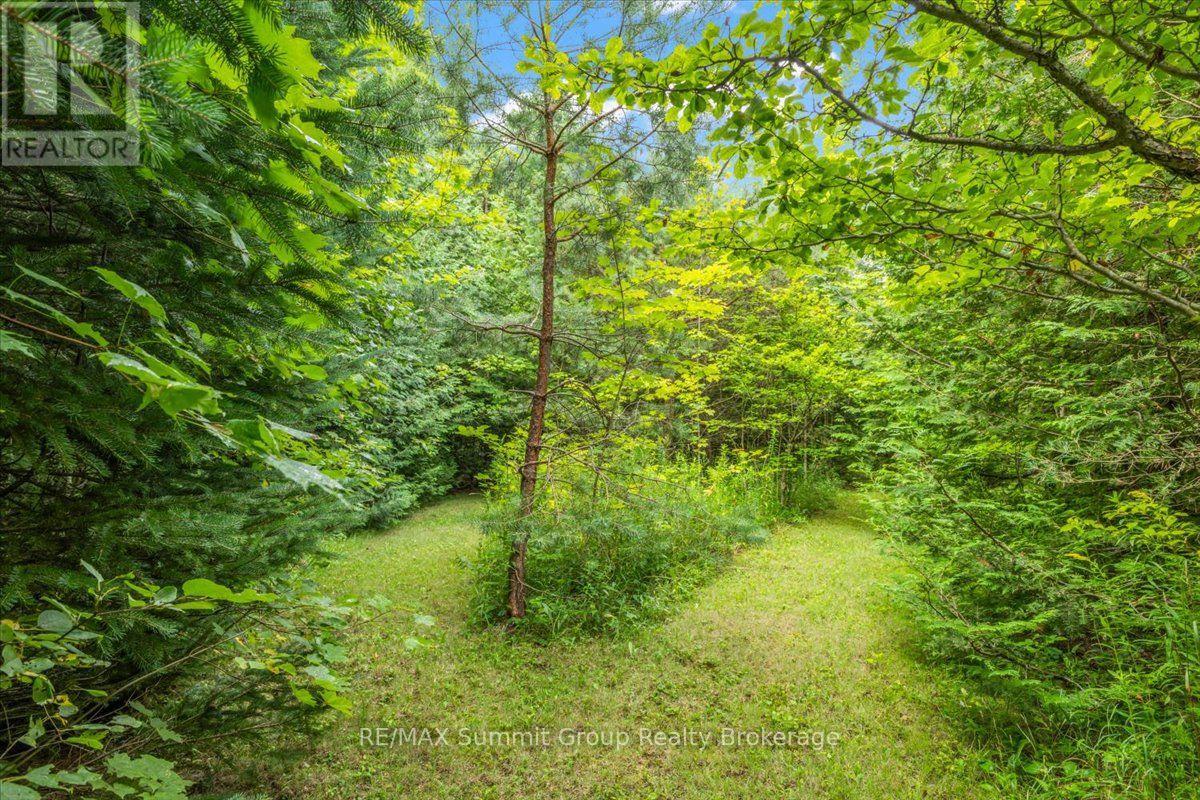 467027 12th Concession B, Grey Highlands, Ontario  N0C 1E0 - Photo 15 - X13676516