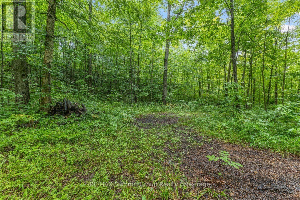 Pt Lt 4 Concession Road 8, West Grey, Ontario  N0C 1H0 - Photo 7 - X13676542