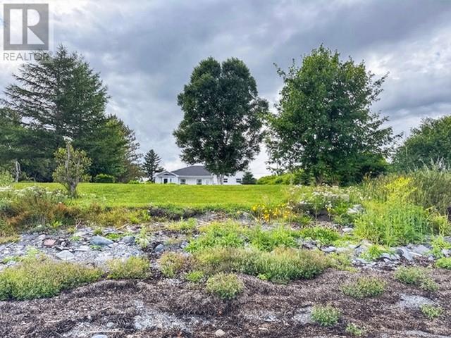342 Main Street, Victoria Cove — photo 47