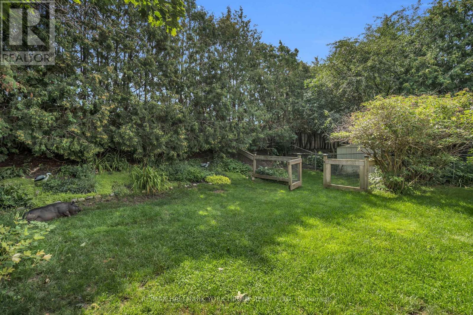 606 Haines Road, Newmarket, Ontario  L3Y 6V5 - Photo 37 - N13676674