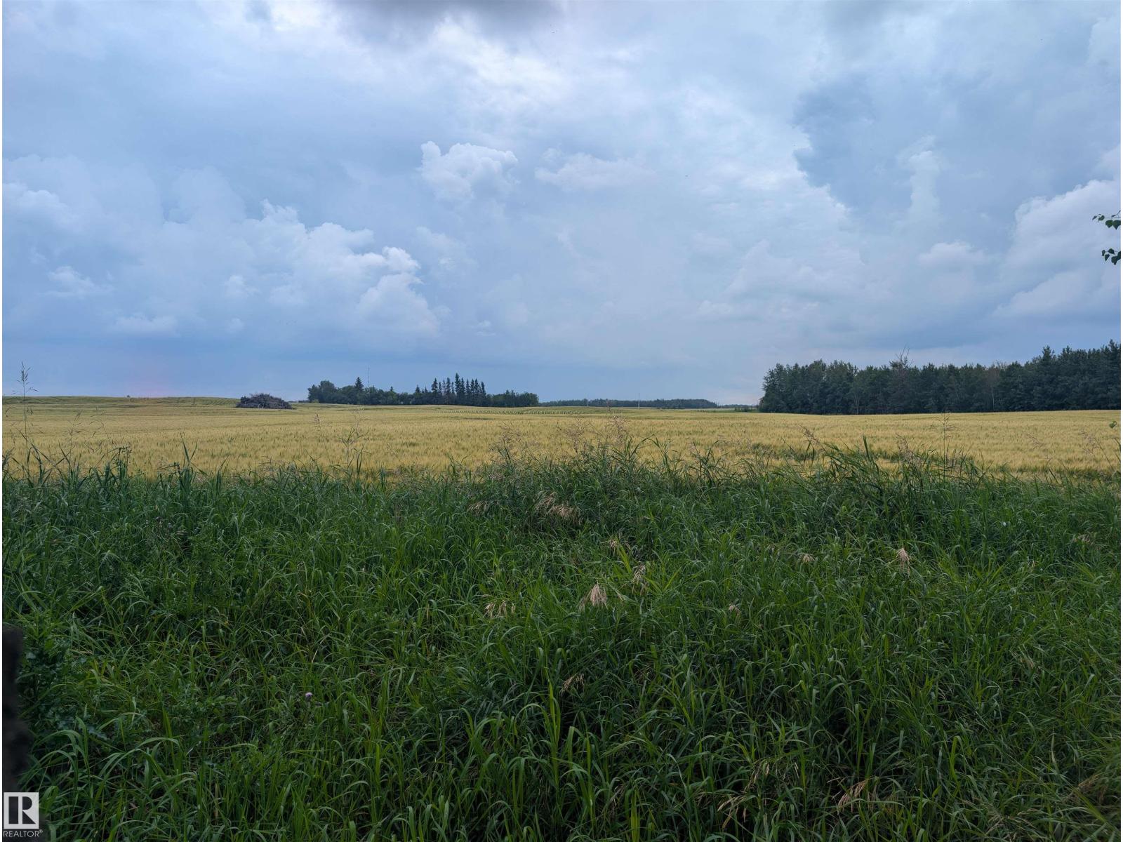 535017 Rge Rd 174, Rural Lamont County, Alberta  T0B 3H0 - Photo 23 - E4503863