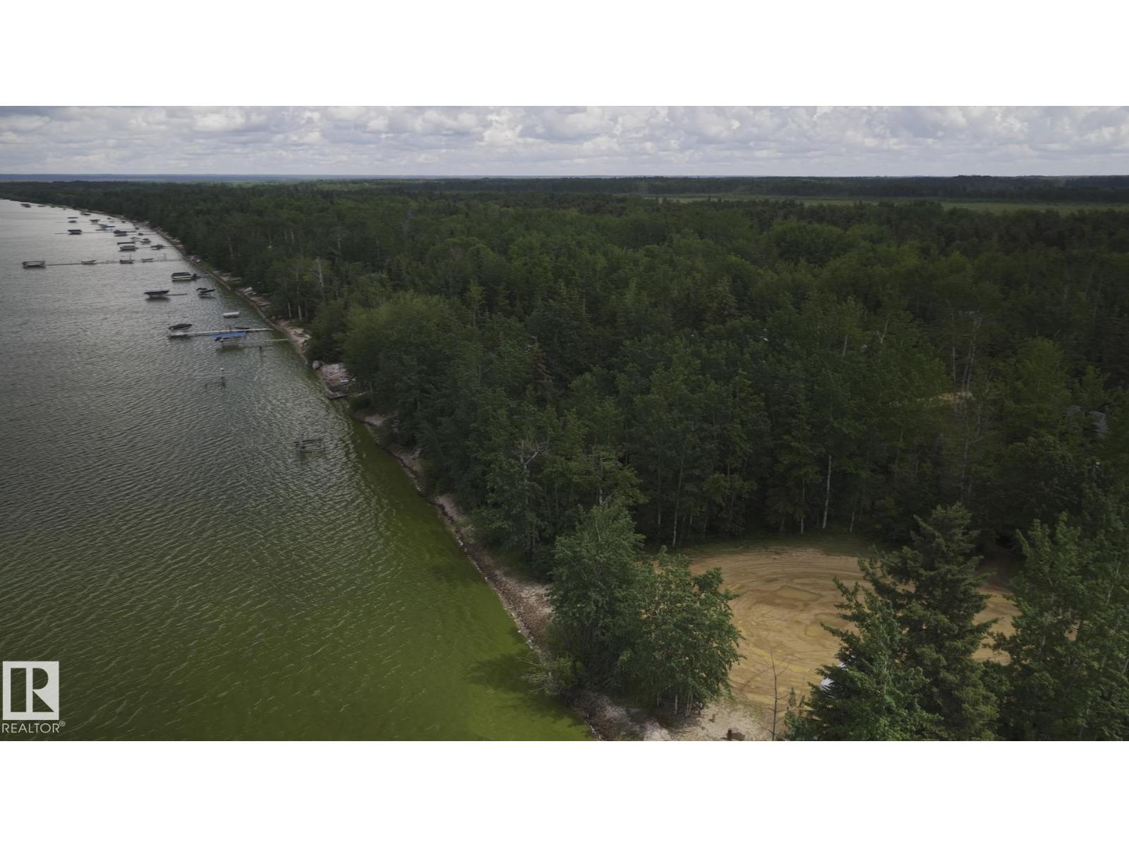 1651 Lakeview Ln, Rural Opportunity M.d., Alberta  T0G 1K0 - Photo 4 - E4503869