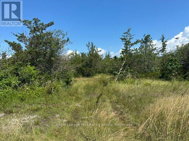N/a Army Reserve Road, Prince Edward County, Ontario  K0K 2P0 - Photo 10 - X13676960