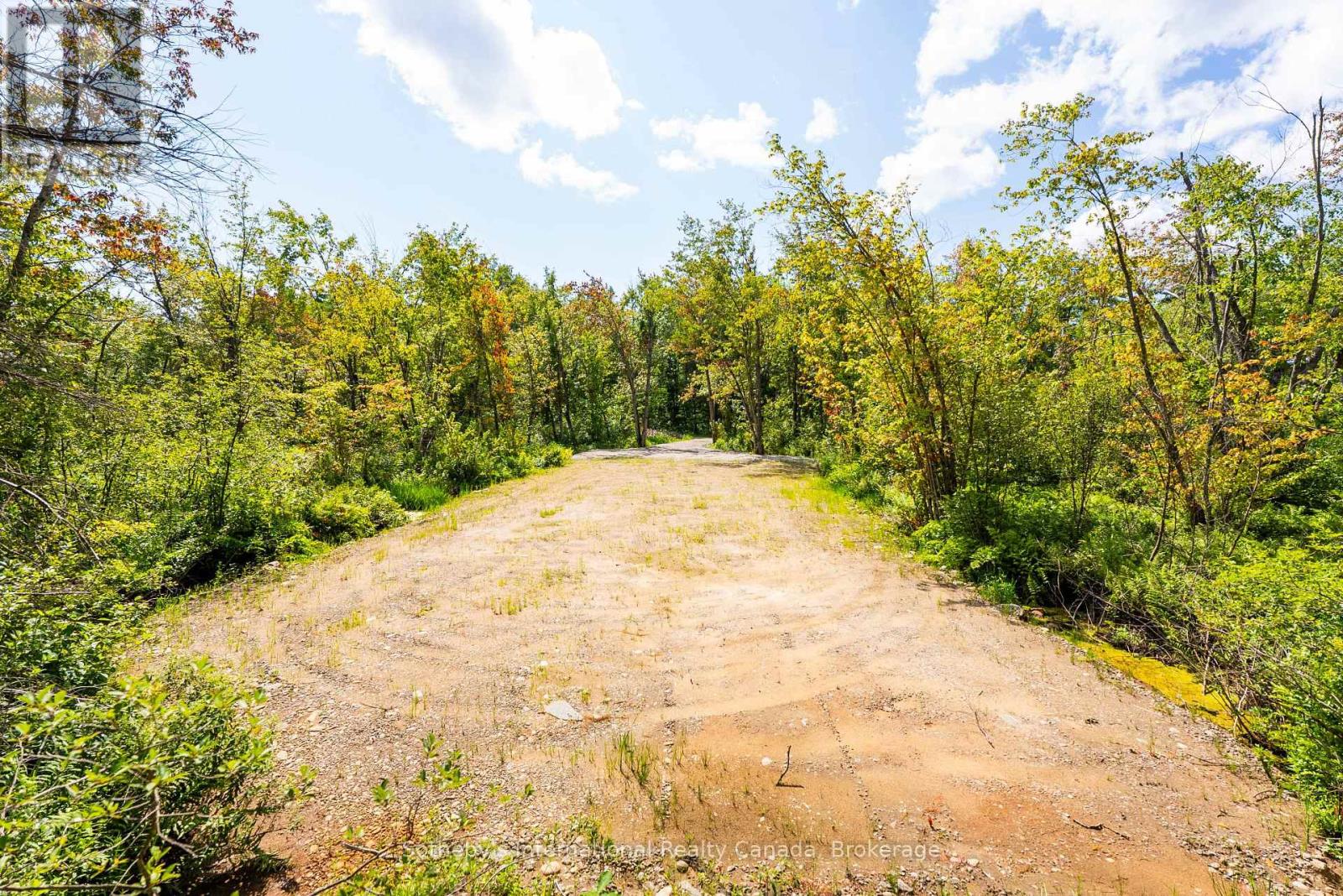 Vacant Lot - 1055 West Bank Drive, Gravenhurst (Morrison), Ontario  P0E 1G0 - Photo 11 - X13676878