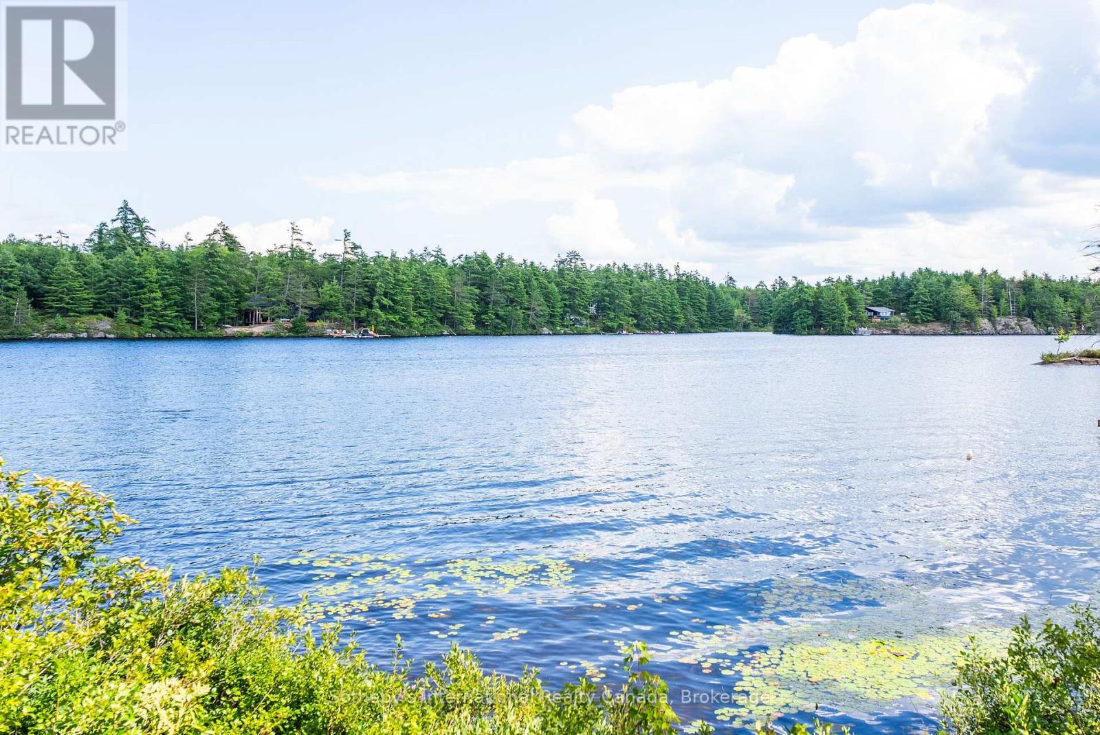 Vacant Lot - 1055 West Bank Drive, Gravenhurst (Morrison), Ontario  P0E 1G0 - Photo 12 - X13676878