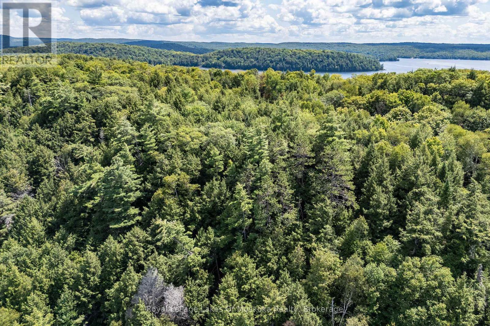 14170 Kawagama Long Island, Algonquin Highlands, Ontario  P0A 1E0 - Photo 41 - X13676988