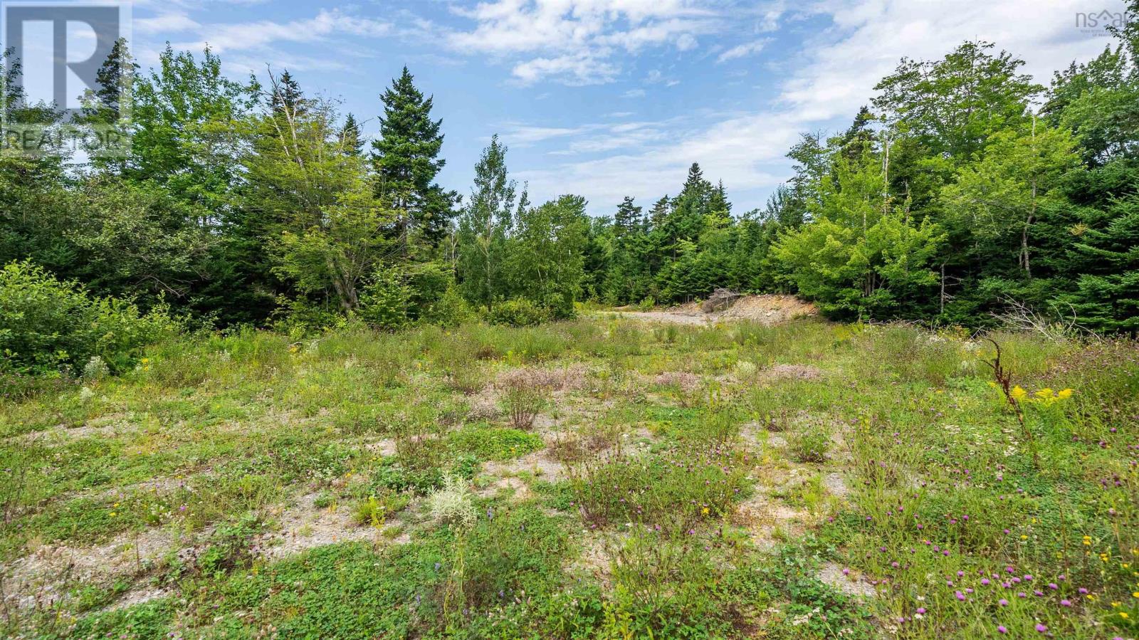 32 Fiddlehead Way, Porters Lake, Nova Scotia  B3E 1P4 - Photo 10 - 202620641