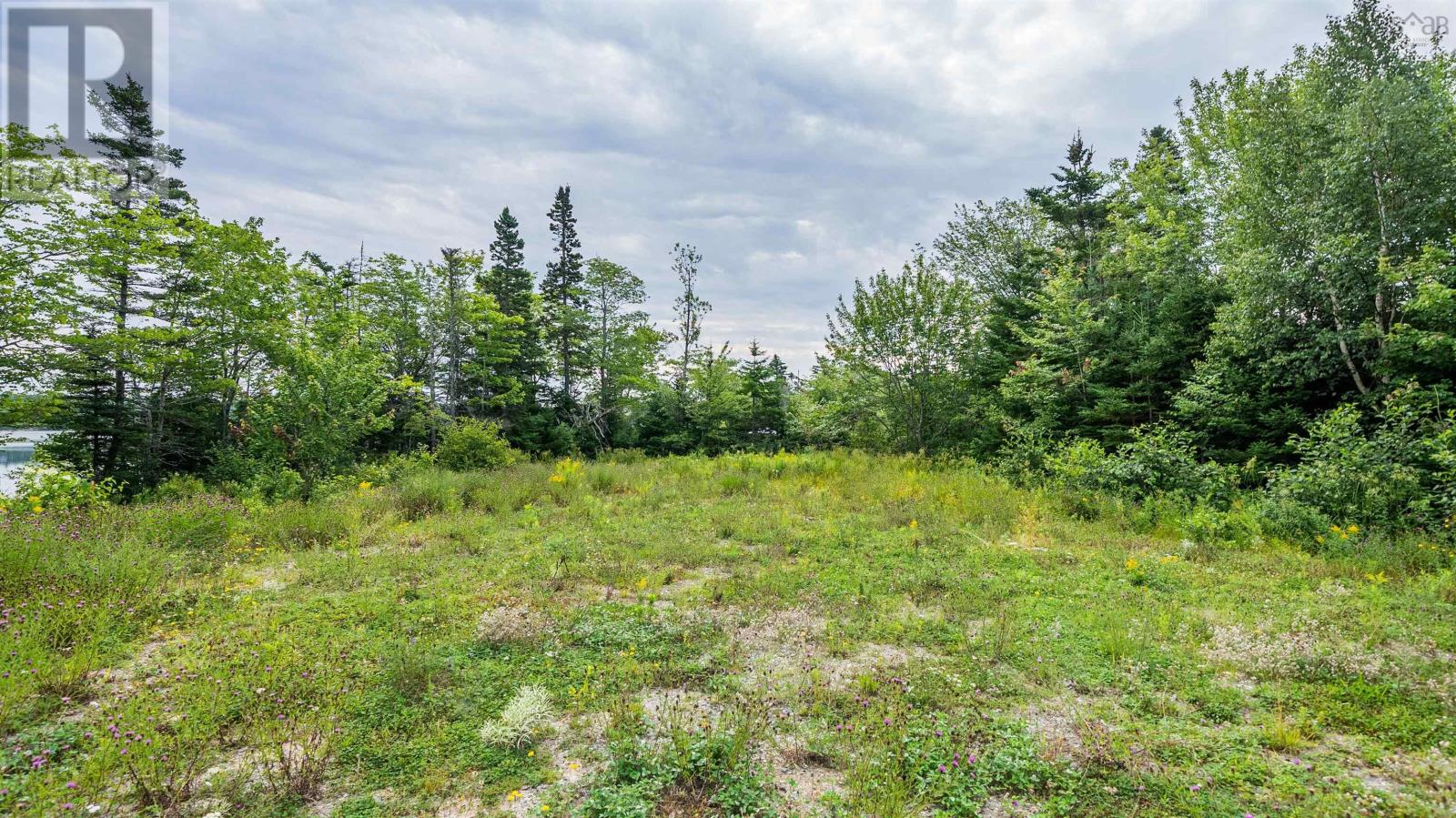 32 Fiddlehead Way, Porters Lake, Nova Scotia  B3E 1P4 - Photo 12 - 202620641