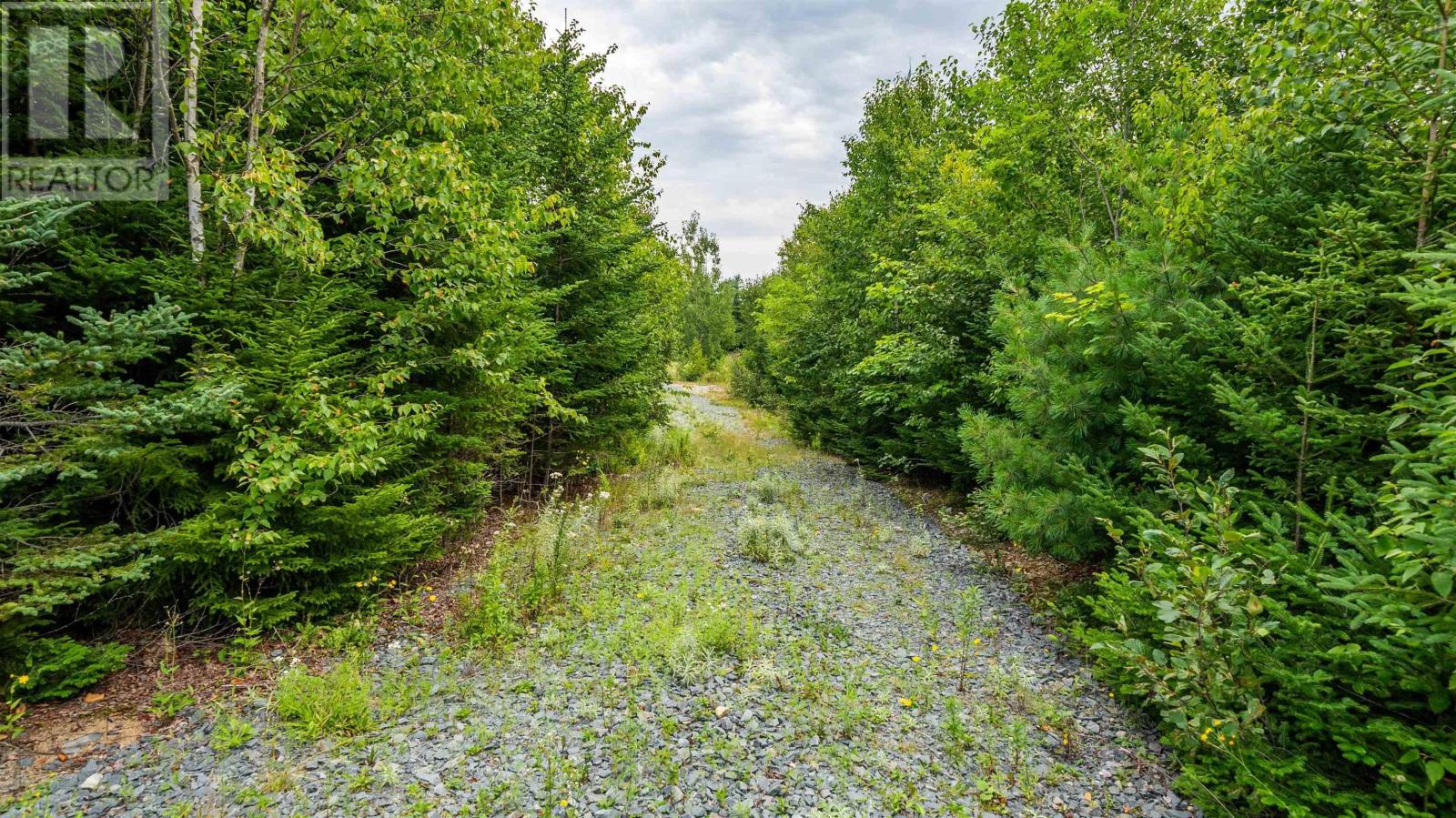 32 Fiddlehead Way, Porters Lake, Nova Scotia  B3E 1P4 - Photo 8 - 202620641