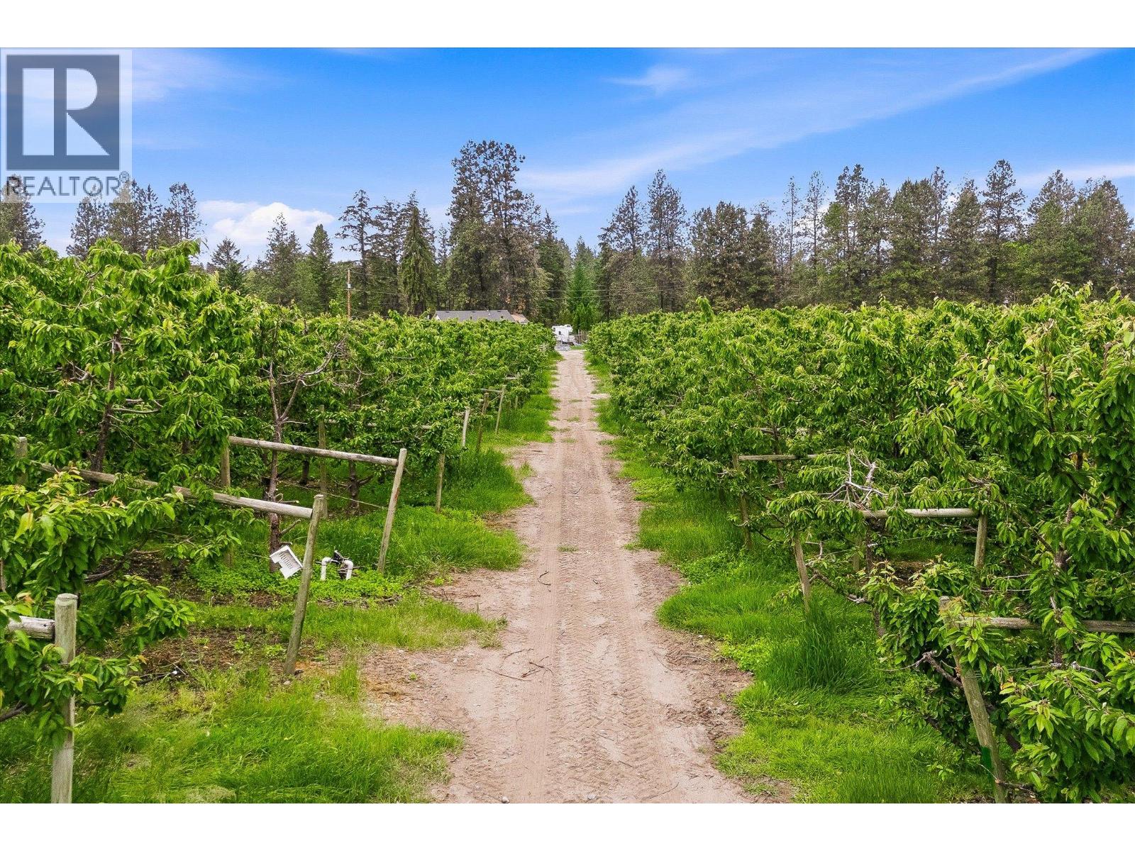 4235 Todd Road, Kelowna, British Columbia  V1W 4B8 - Photo 15 - 10389150