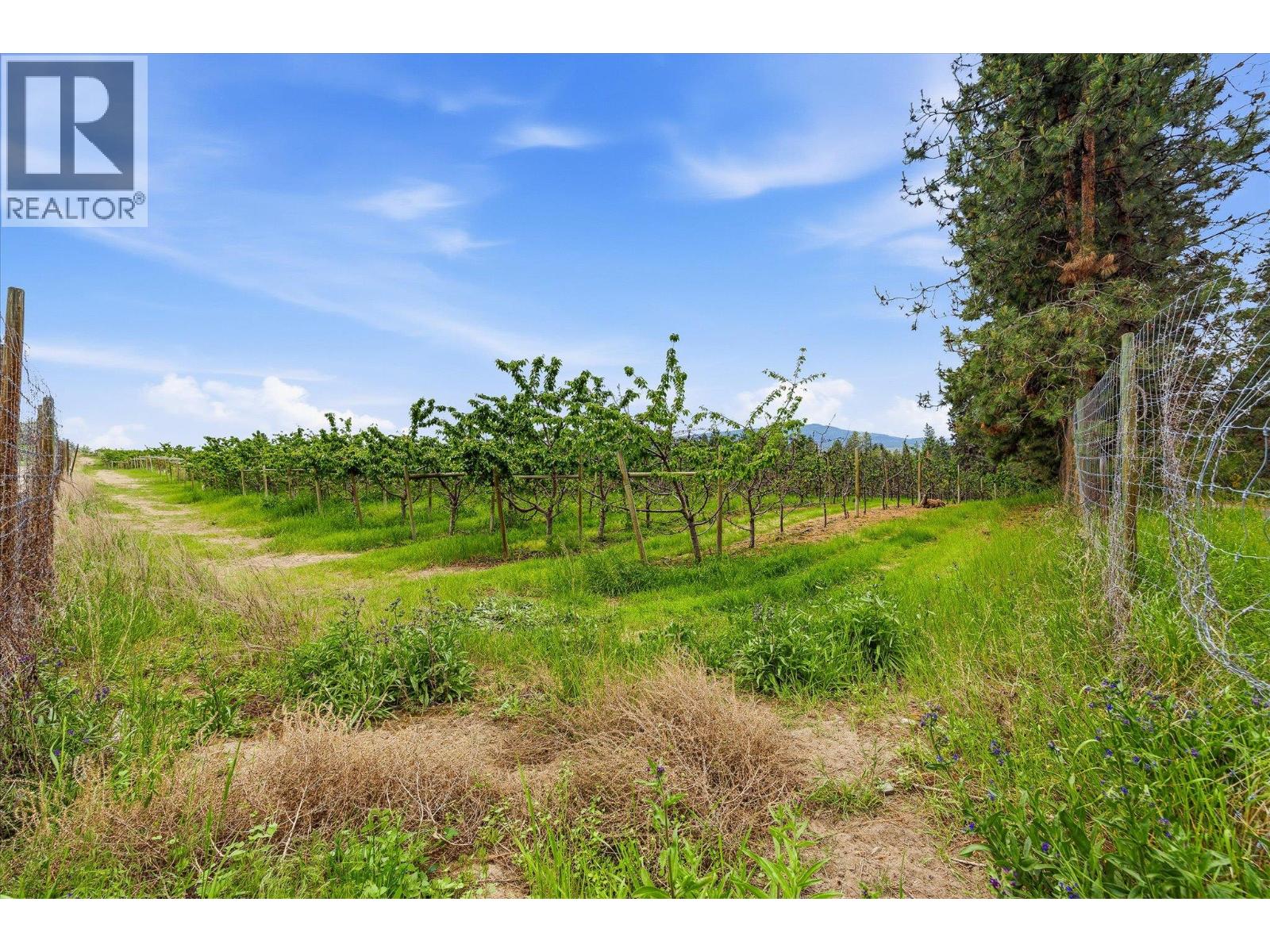 4235 Todd Road, Kelowna, British Columbia  V1W 4B8 - Photo 43 - 10389150
