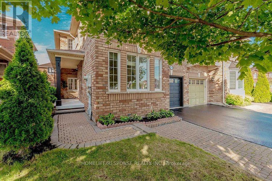 Basement - 5695 Jenvic Grove, Mississauga, Ontario  L5M 7B4 - Photo 1 - W13677108