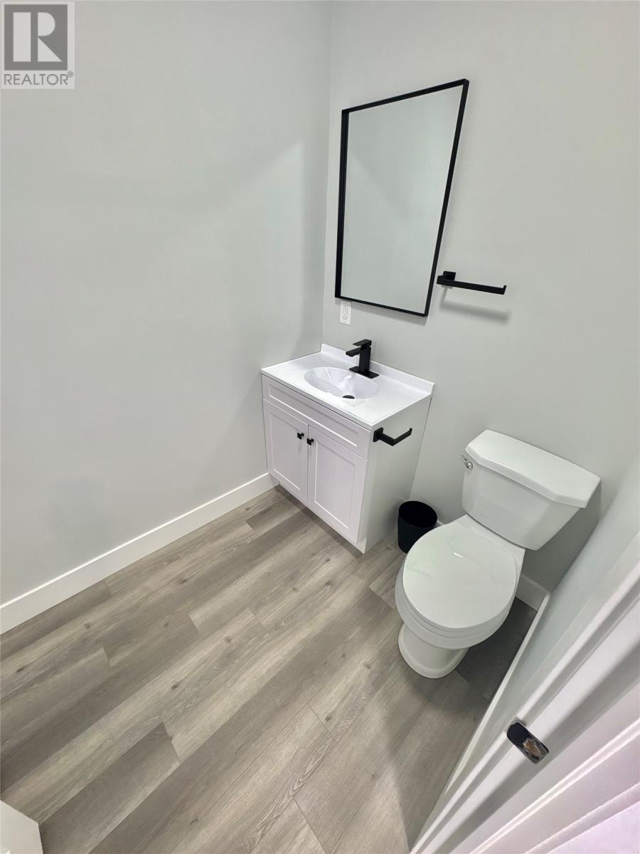 23 Ebsary Place, Grand Falls Windsor — photo 10